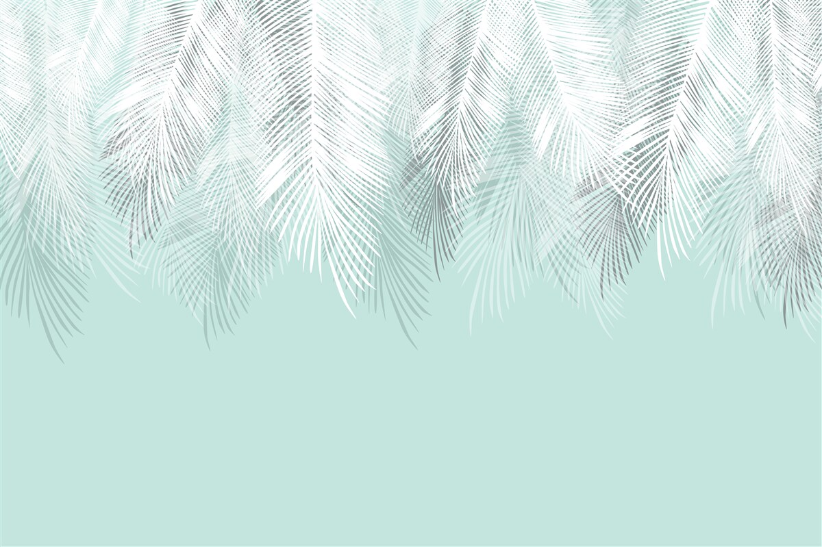 Fototapeta liście palmowe są białe na turkusowym tle