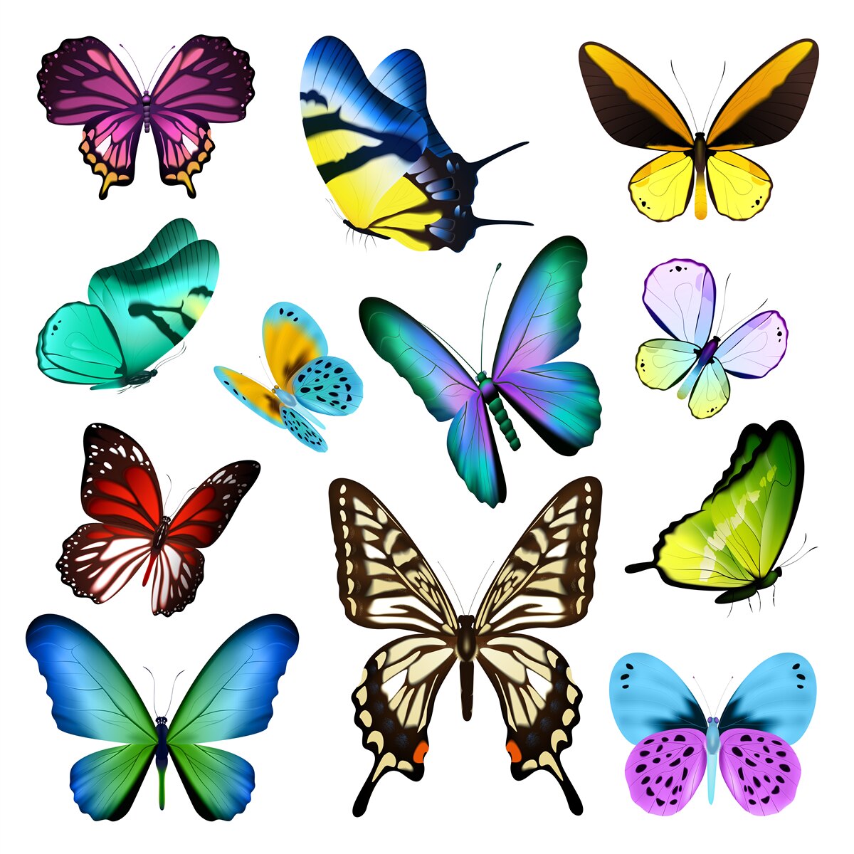 Fototapeta akwarela przedstawiająca liście skandynawskie