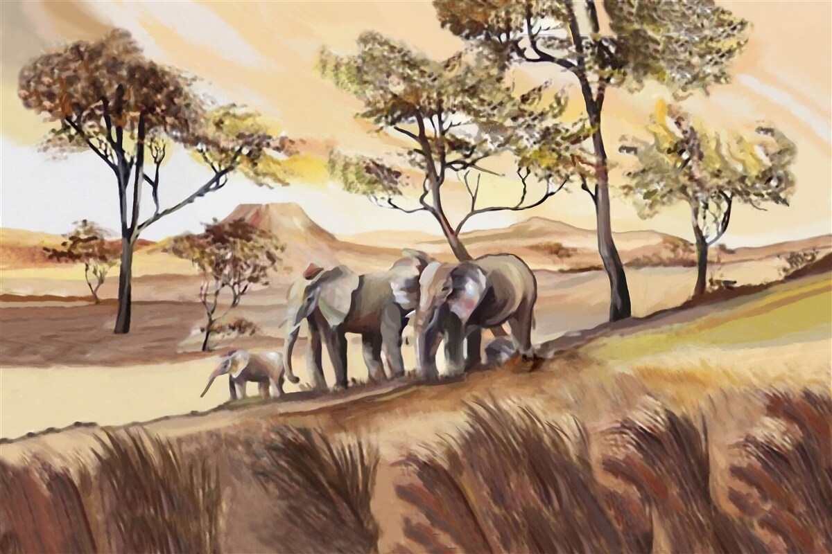 Fototapeta wycieczka rodzinna słoni