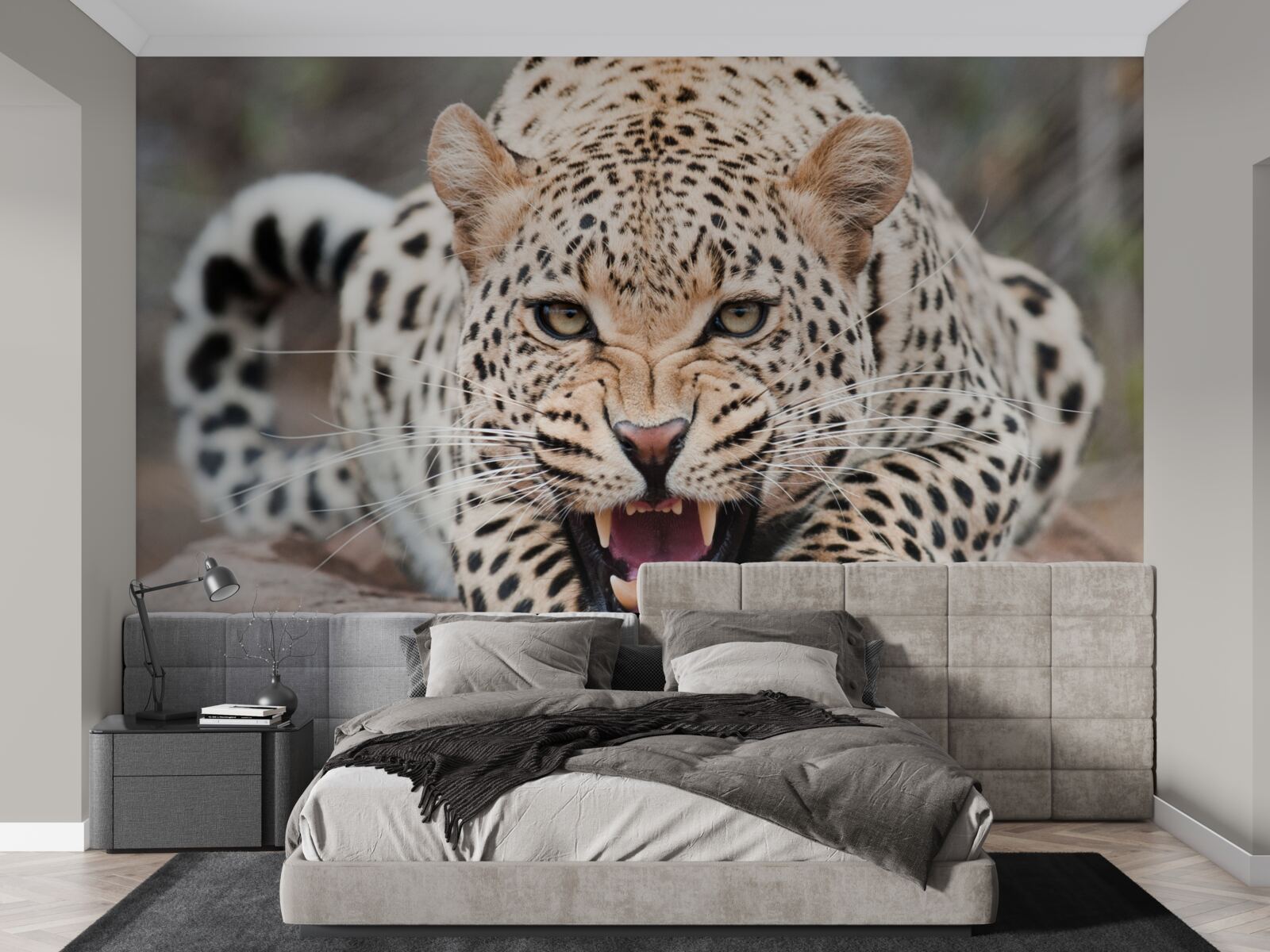 Fototapeta lampart ma zamiar wykonać skok