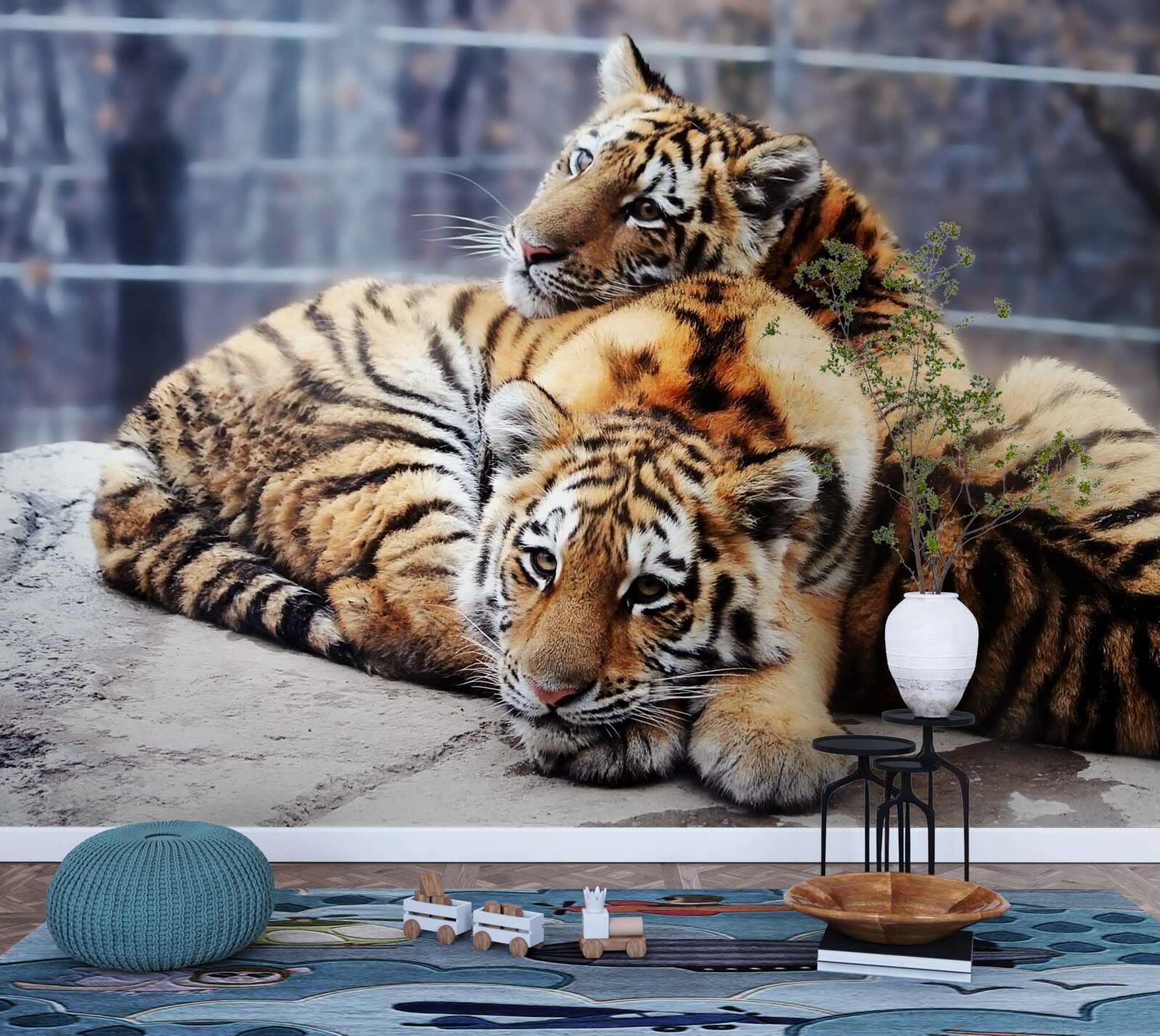 Fototapeta Śpiące tygrysy mają piękno