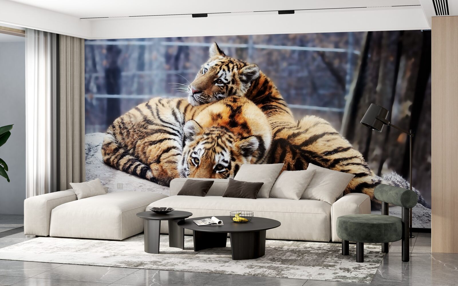 Fototapeta Śpiące tygrysy mają piękno