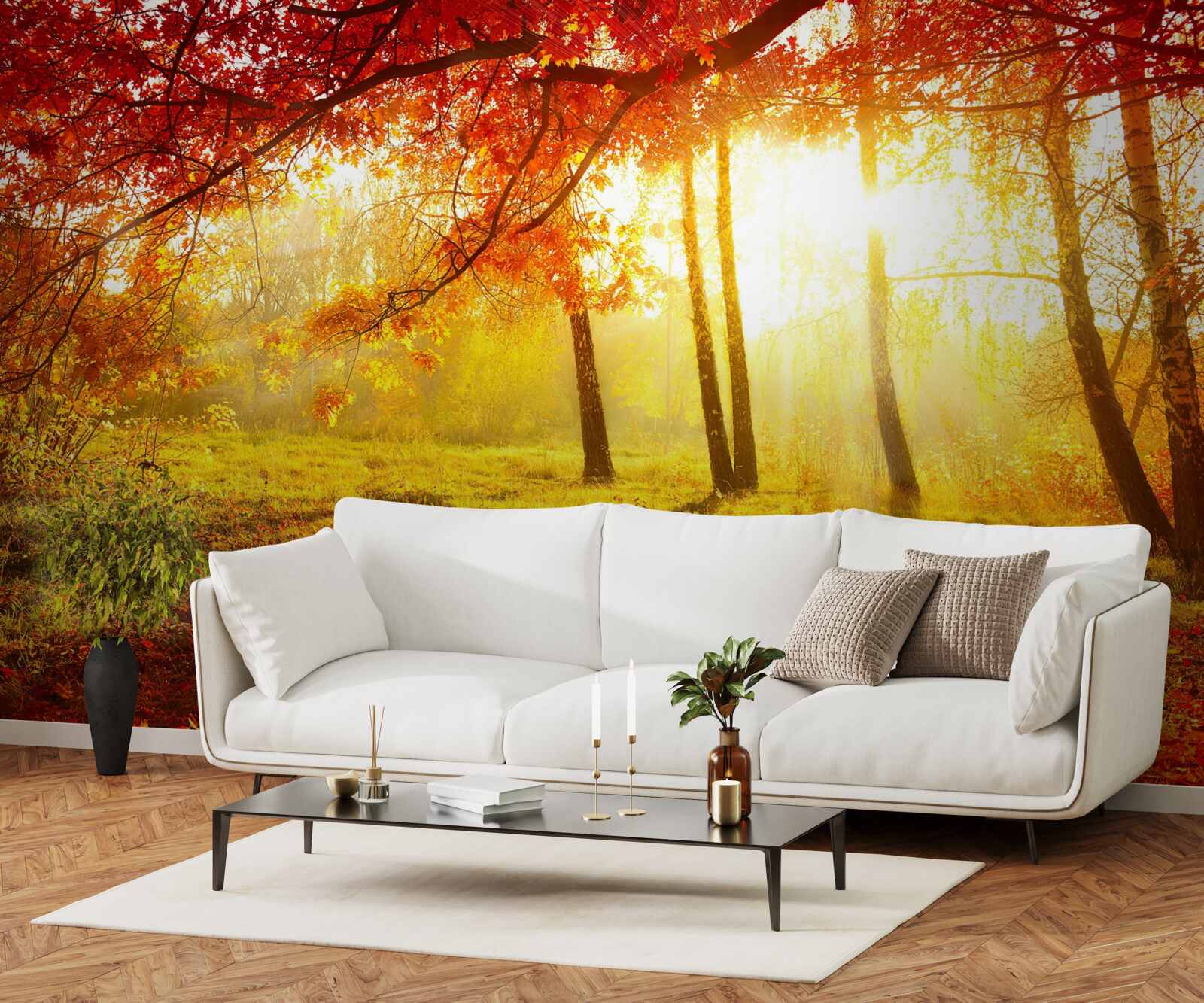 Fototapeta zimne promienie słońca przebijają się przez jesienną mgłę