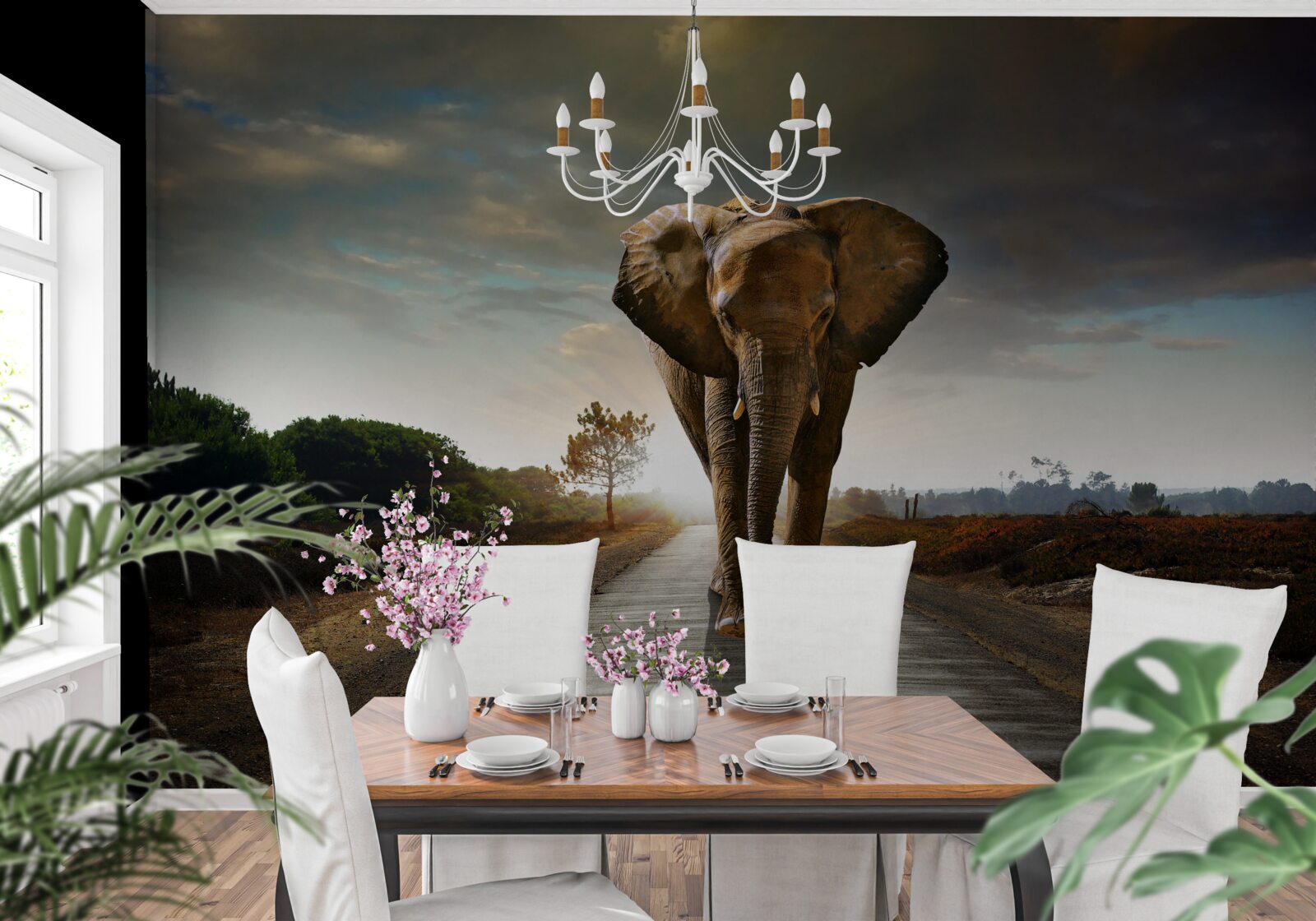 Fototapeta podróż słonia trwa