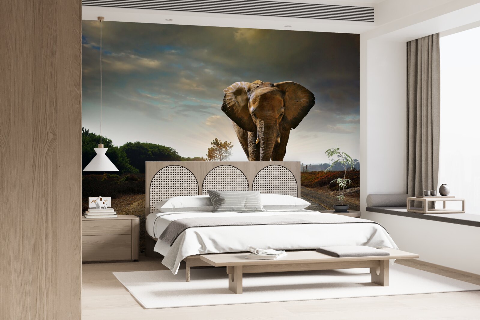 Fototapeta podróż słonia trwa