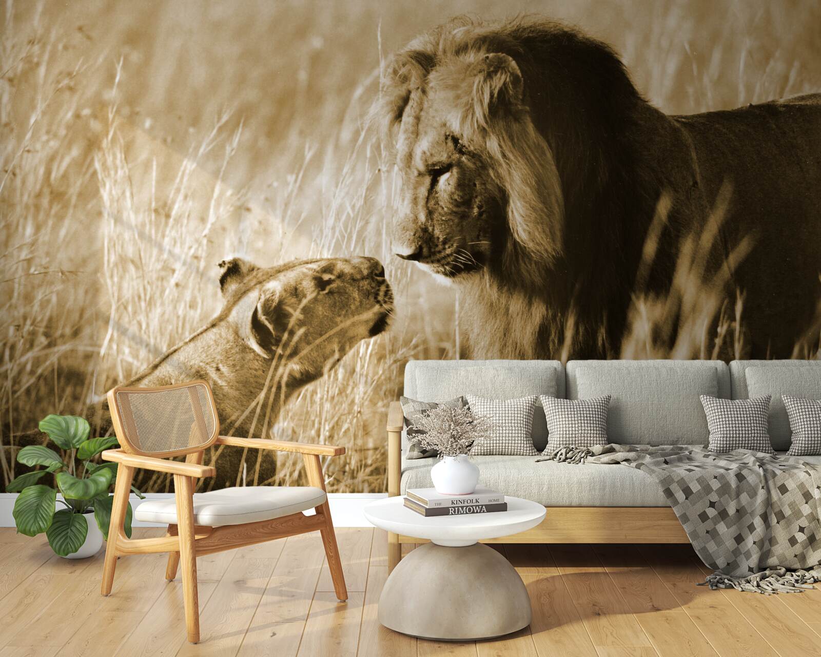 Fototapeta lew i lwica poznają się