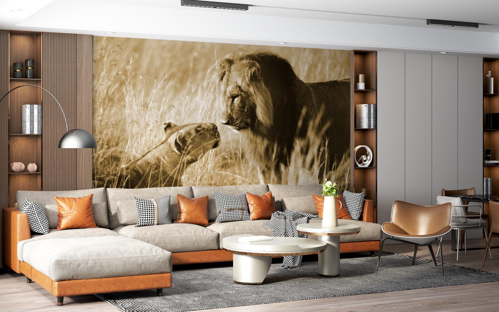 Fototapeta lew i lwica poznają się