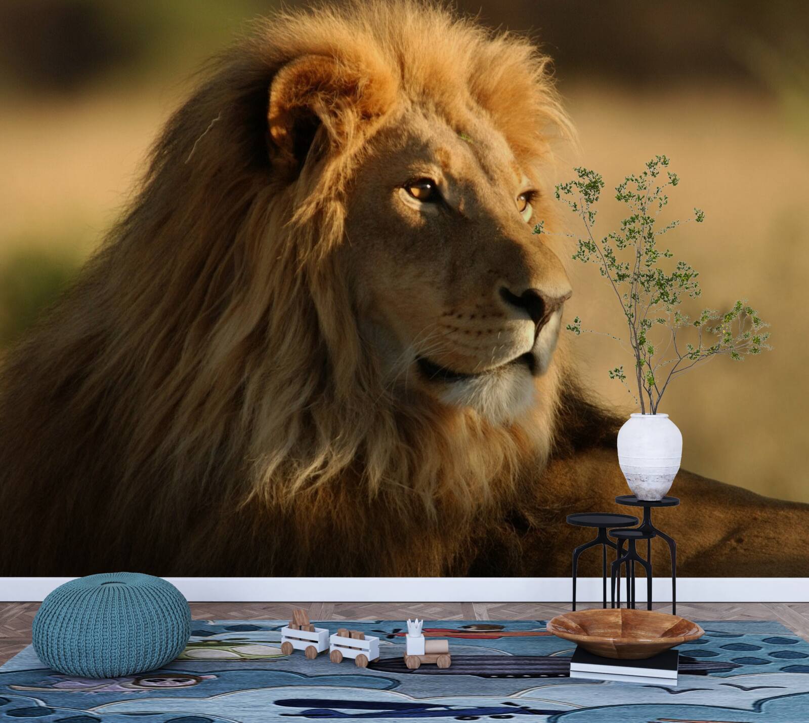 Fototapeta monarcha sawanny na wakacjach