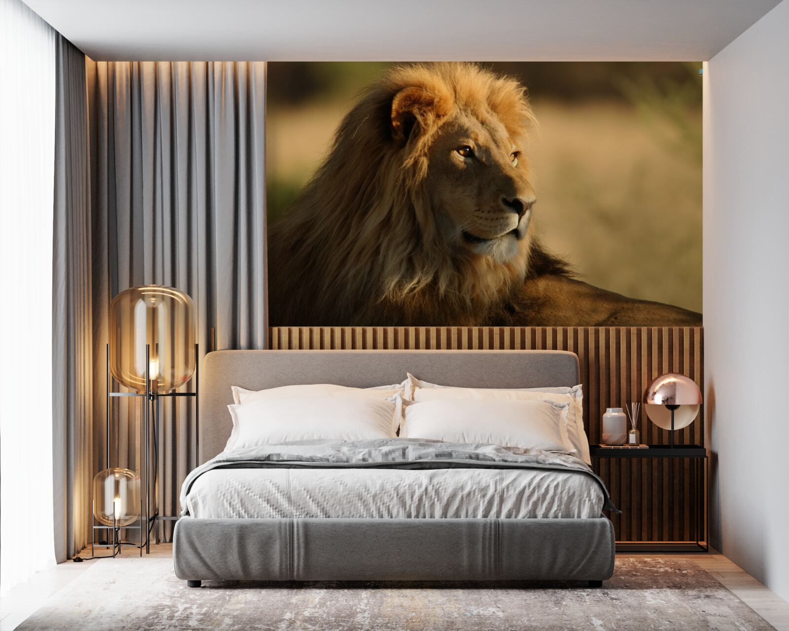 Fototapeta monarcha sawanny na wakacjach