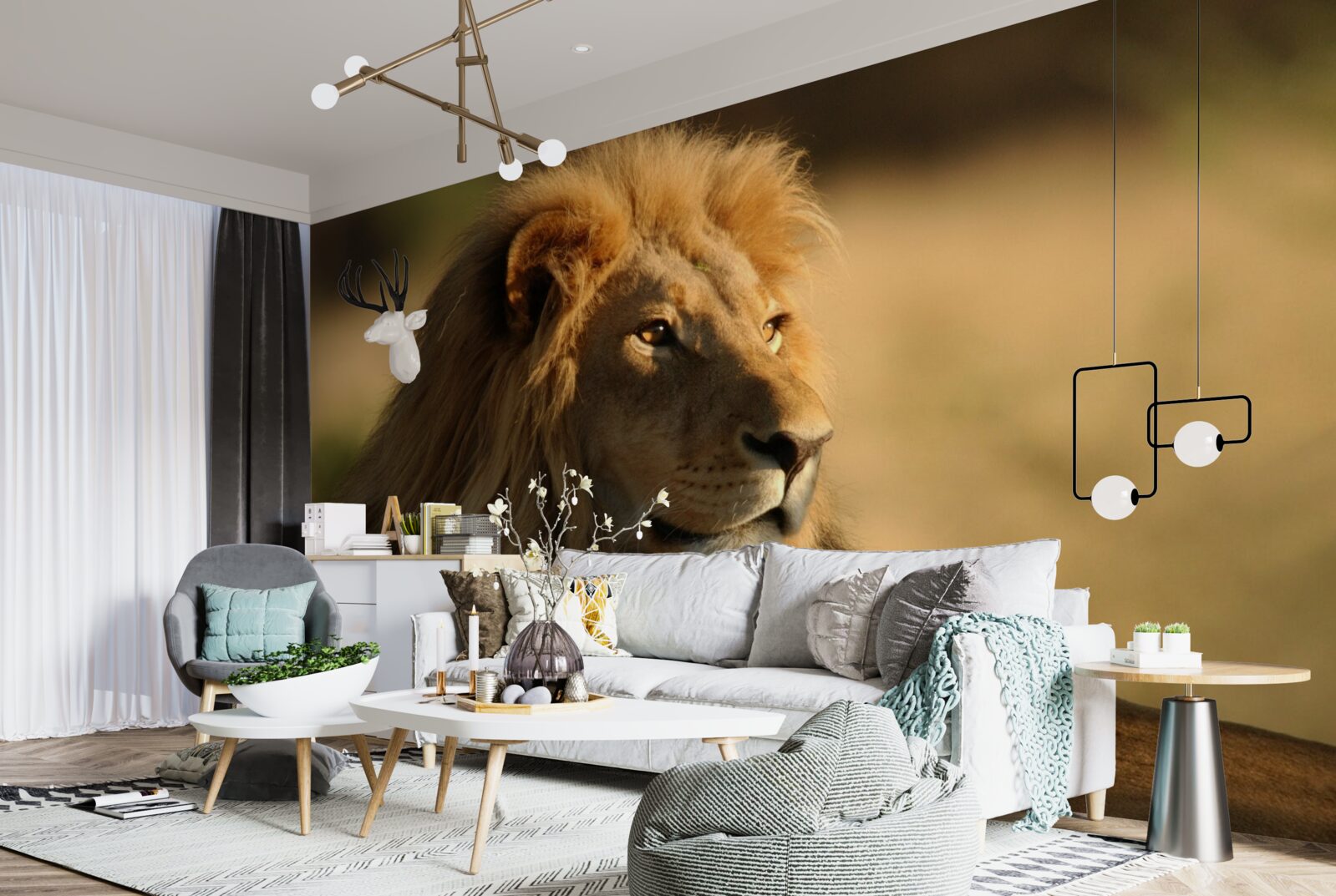 Fototapeta monarcha sawanny na wakacjach