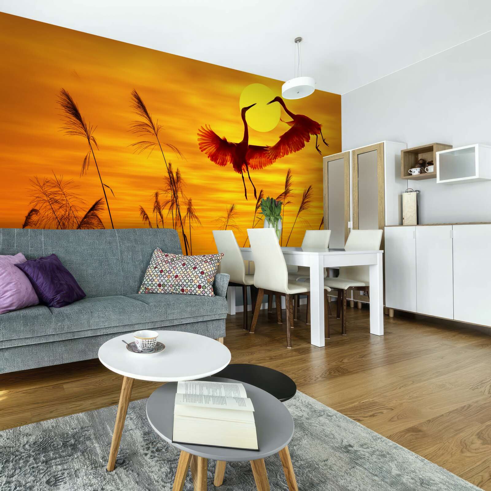 Fototapeta zachodowi słońca towarzyszy stado żurawi