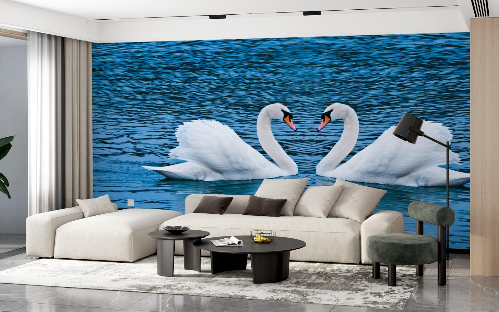 Fototapeta para łabędzi na powierzchni wody tworzy idylliczny obraz rodzinny