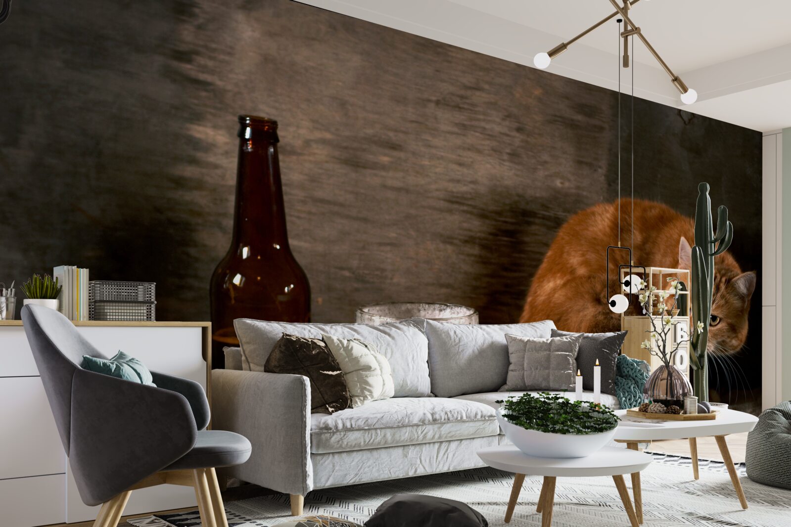 Fototapeta przynęta dla zwierząt domowych i morskich o czerwonym futrze