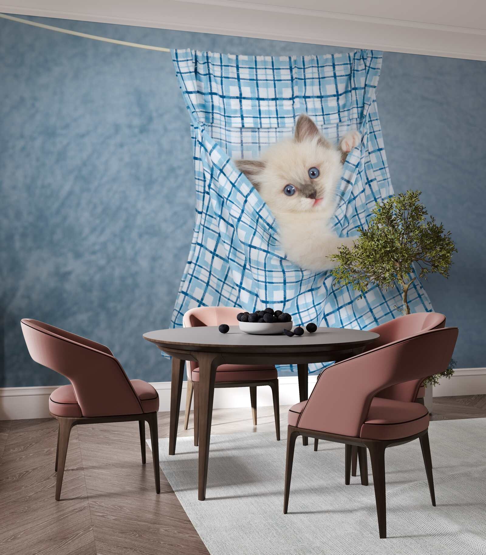 Fototapeta torba okazała się pułapką na kotka syjamskiego