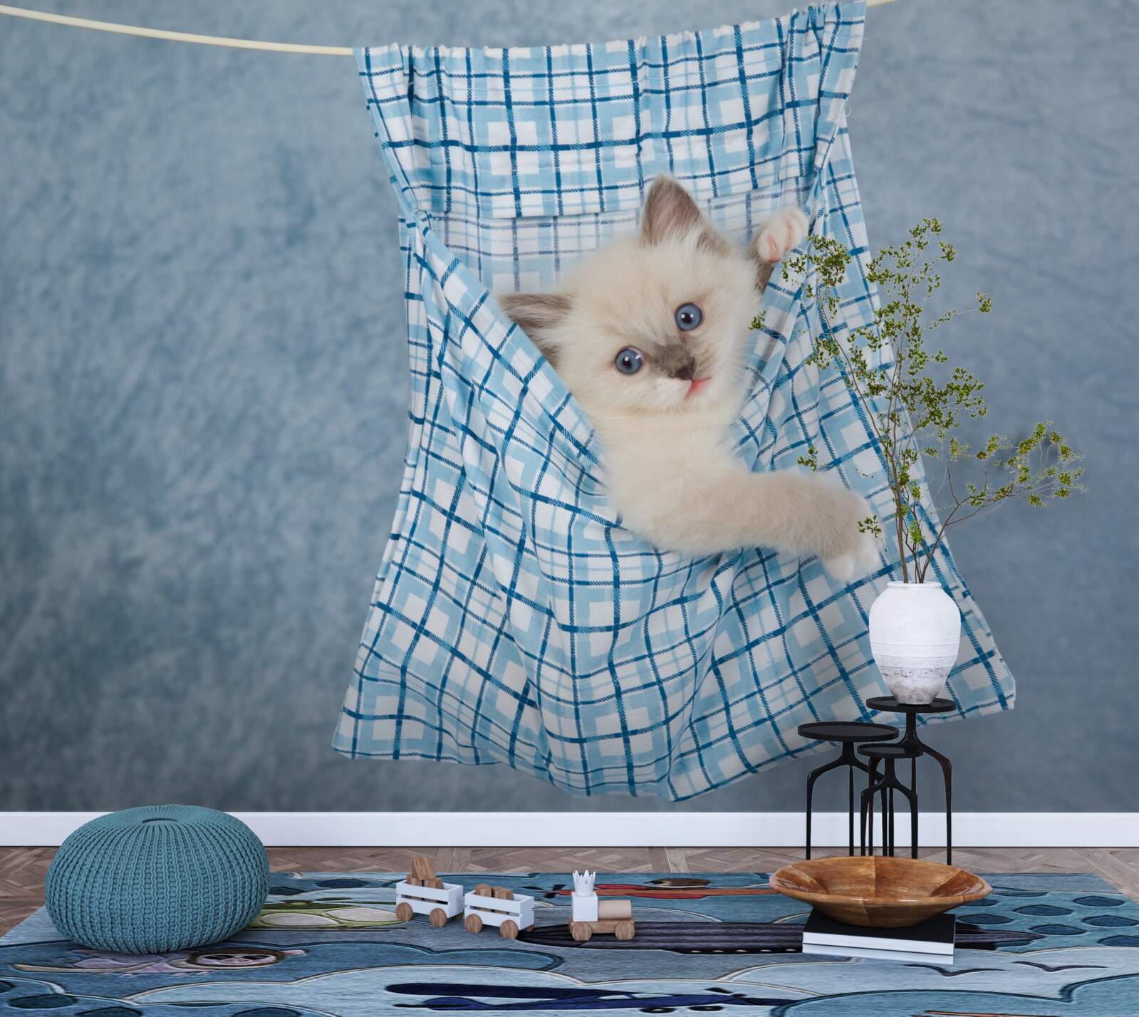 Fototapeta torba okazała się pułapką na kotka syjamskiego