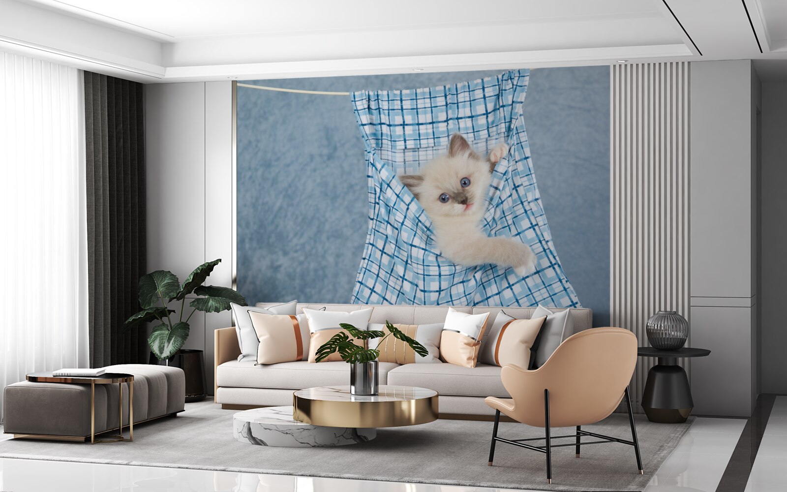 Fototapeta torba okazała się pułapką na kotka syjamskiego