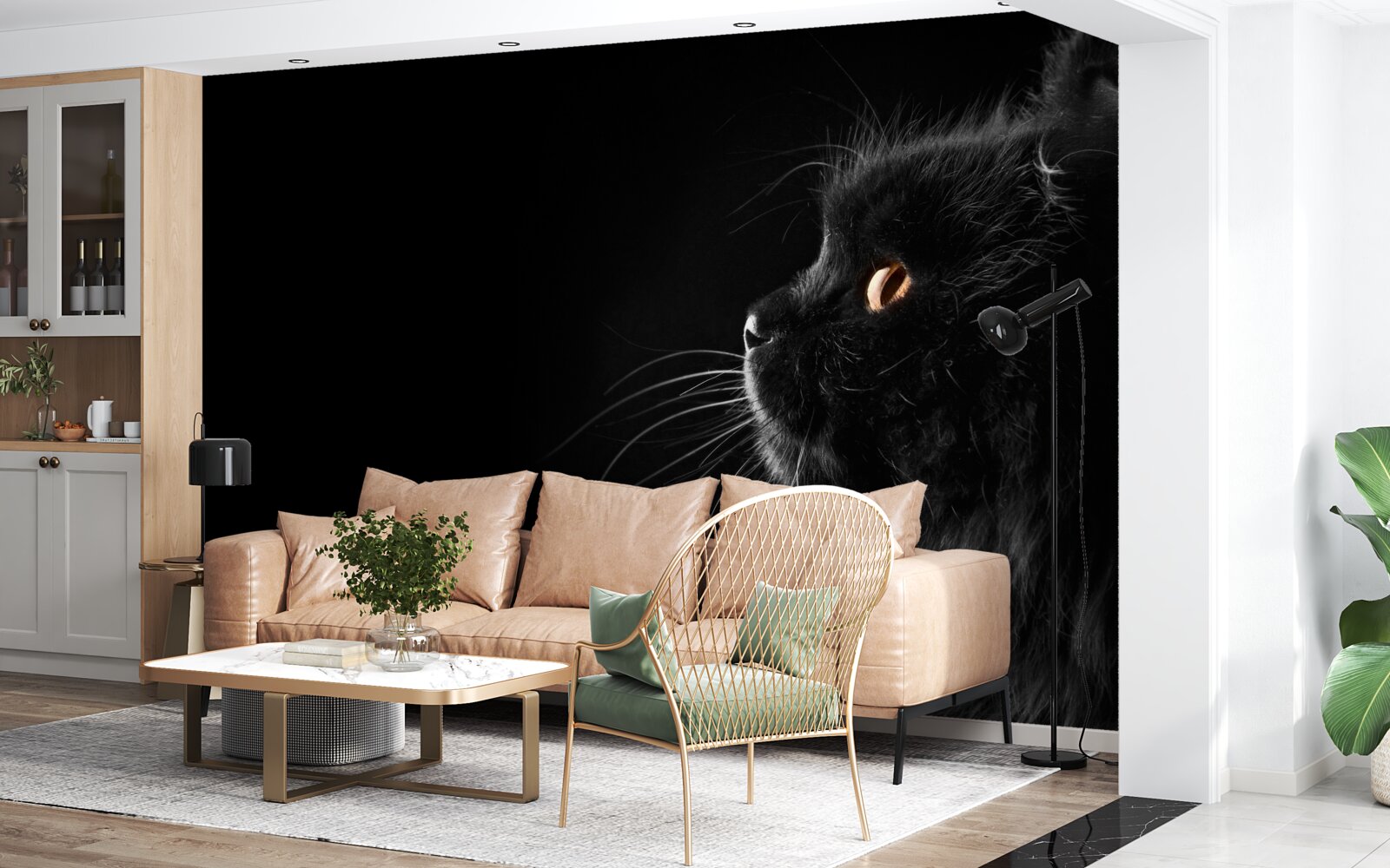 Fototapeta złotooki czarny kot