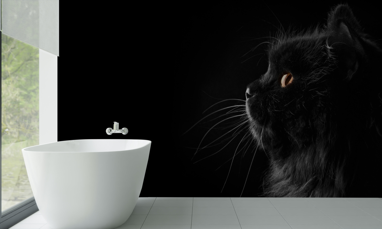 Fototapeta złotooki czarny kot