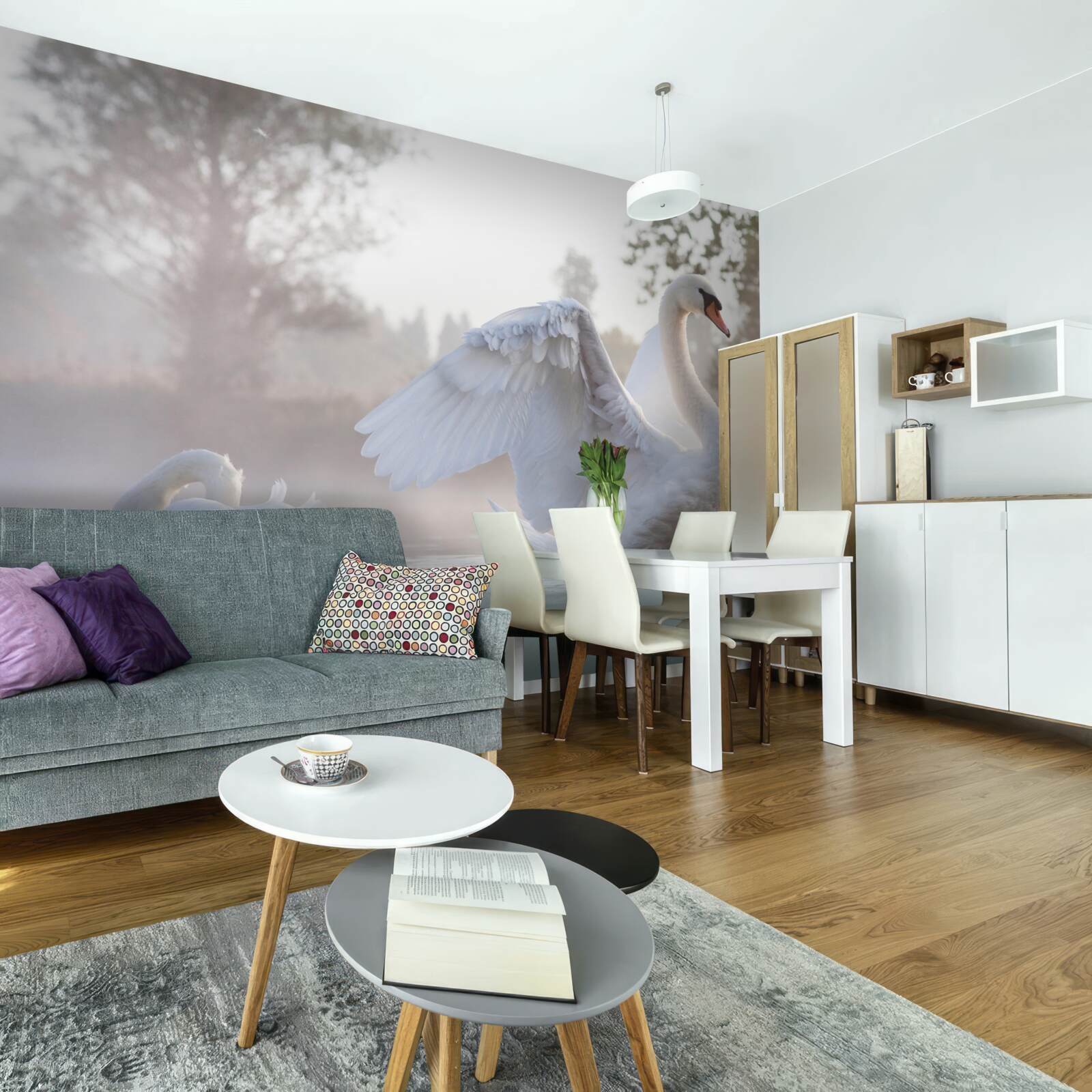 Fototapeta majestatyczny śnieżnobiały łabędź unoszący się na wodzie