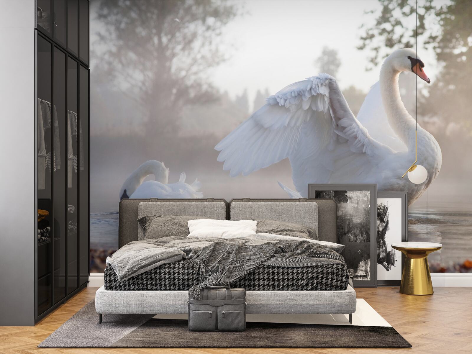 Fototapeta majestatyczny śnieżnobiały łabędź unoszący się na wodzie