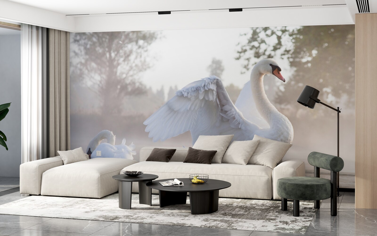 Fototapeta majestatyczny śnieżnobiały łabędź unoszący się na wodzie