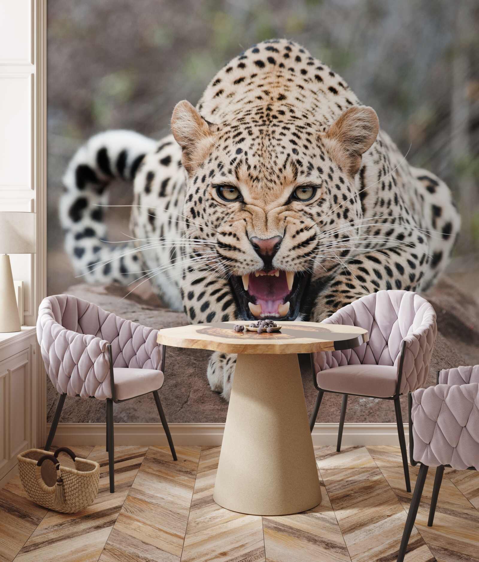 Fototapeta podekscytowany lampart przygotowujący się do skoku