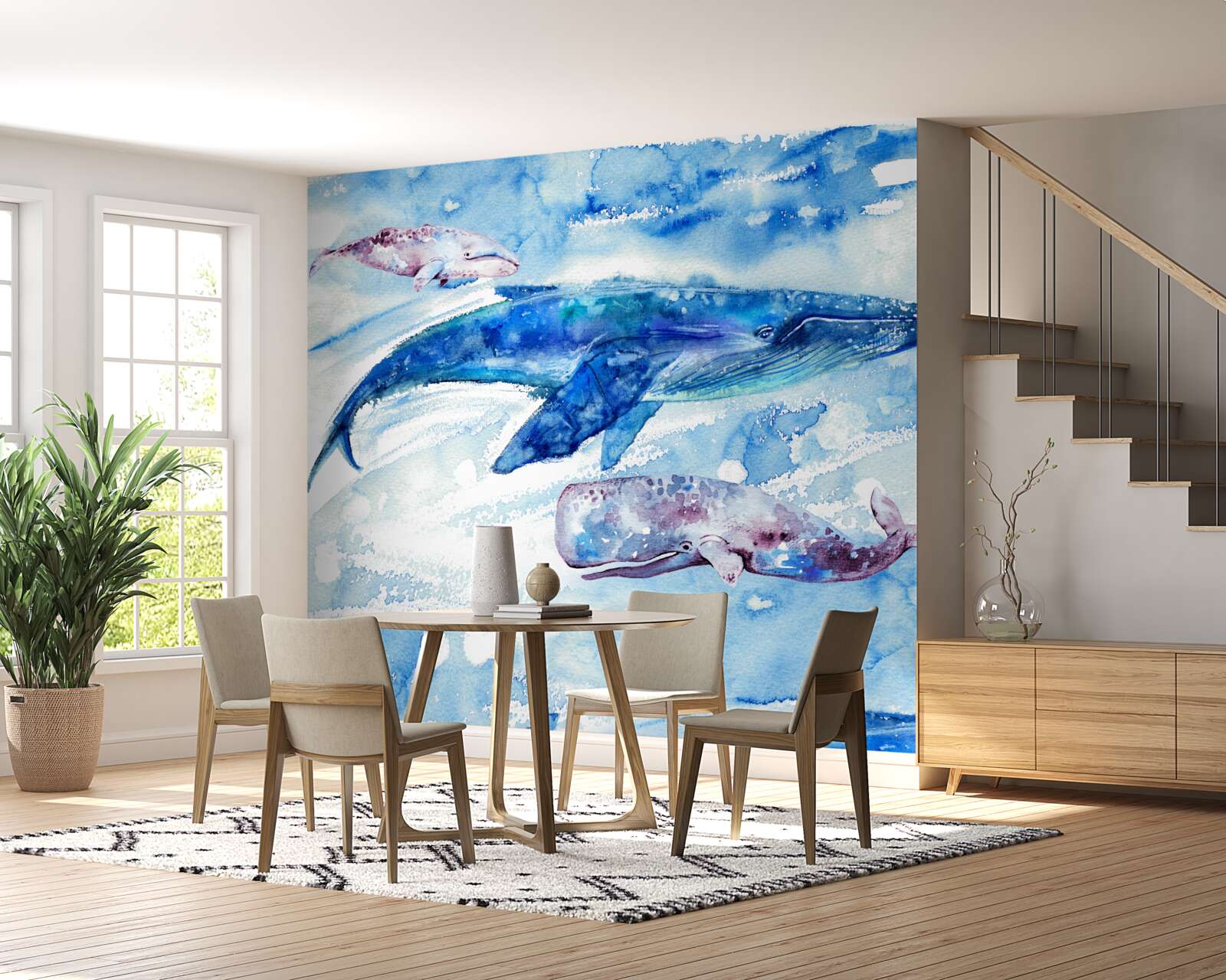 Fototapeta pobór wody przez płetwal błękitny