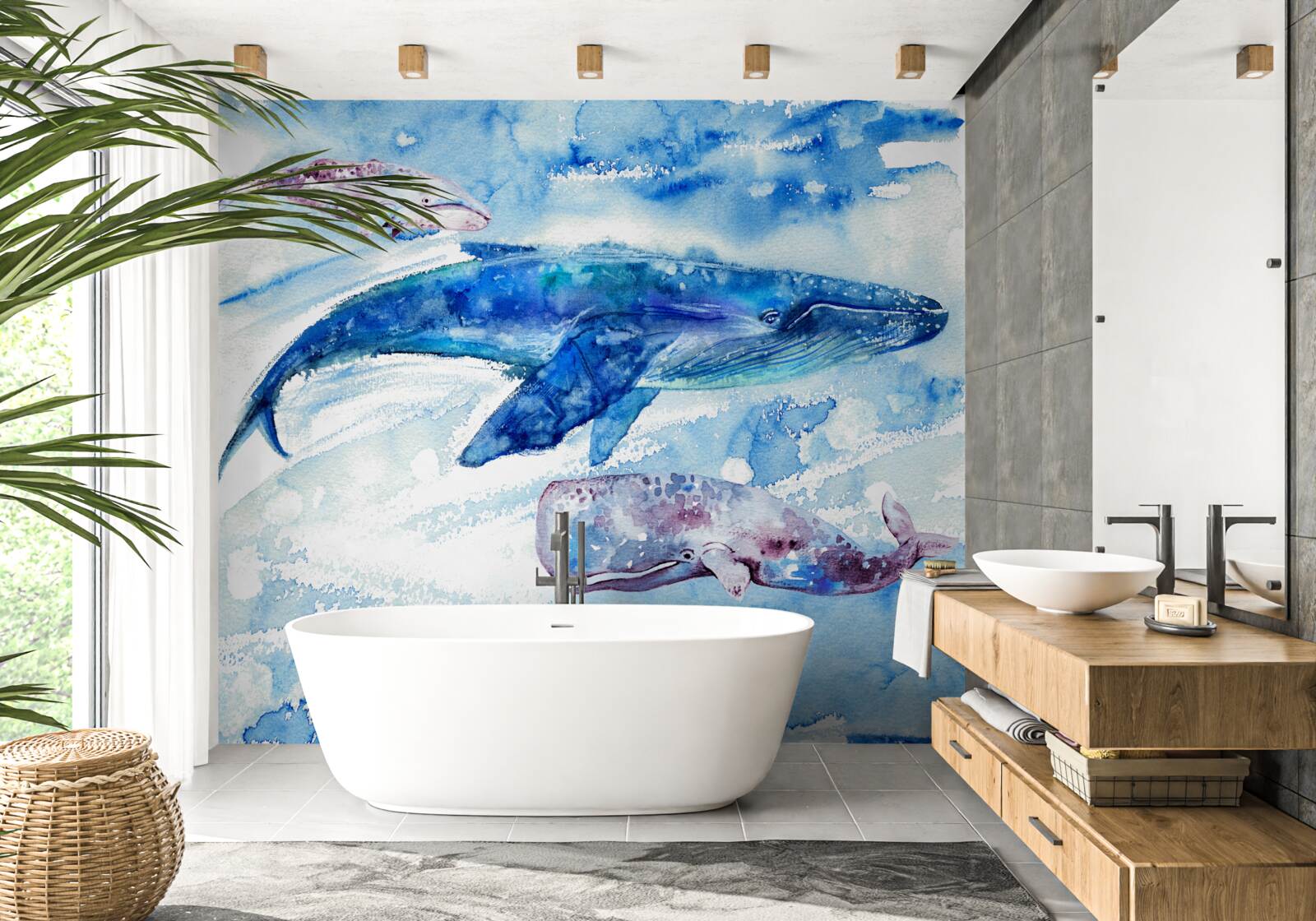 Fototapeta pobór wody przez płetwal błękitny