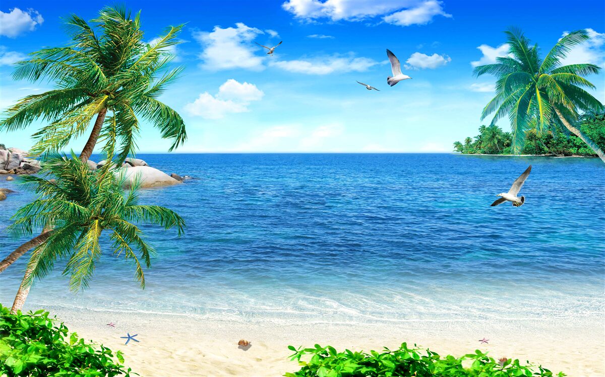 Fototapeta linia brzegowa palm w regionie tropikalnym