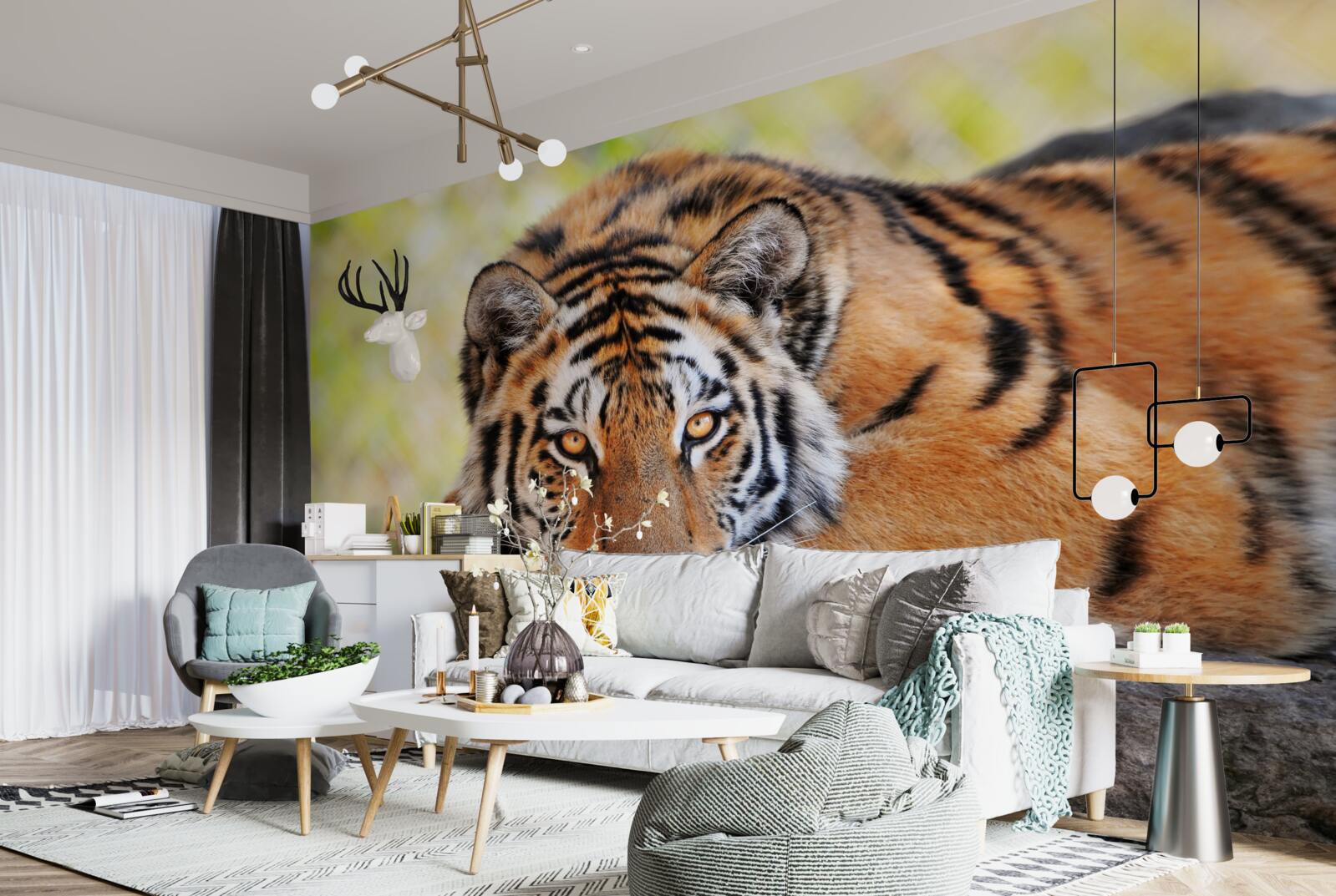 Fototapeta tygrys drapieżnik wpadł w zasadzkę