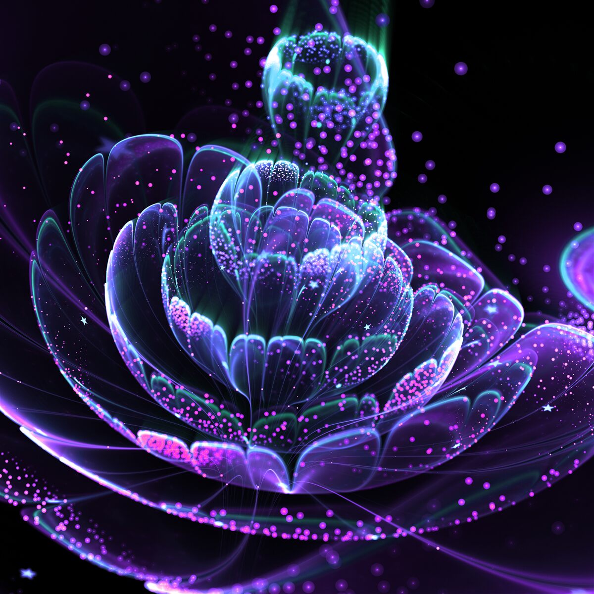 Fototapeta streszczenie niebieski kwiat na czarnym tle