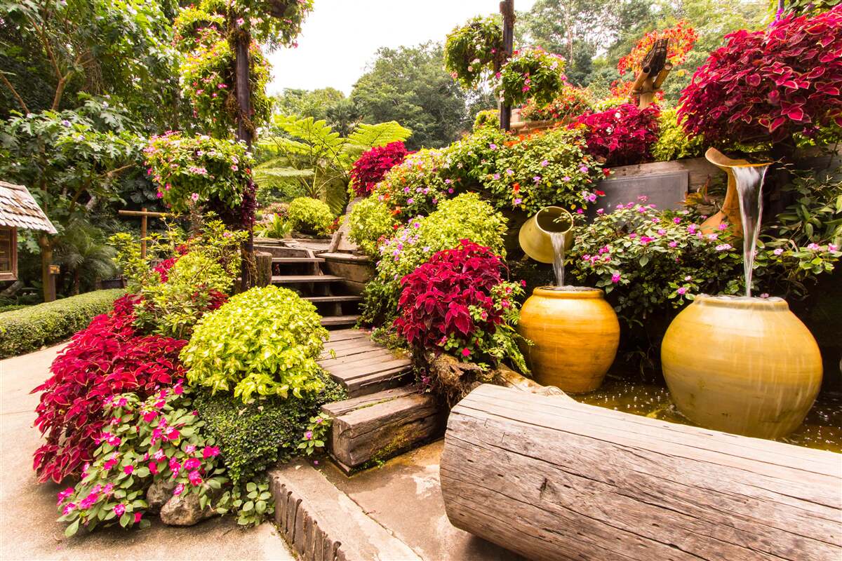 Fototapeta piękno krajobrazu stworzonego przez kwiaty