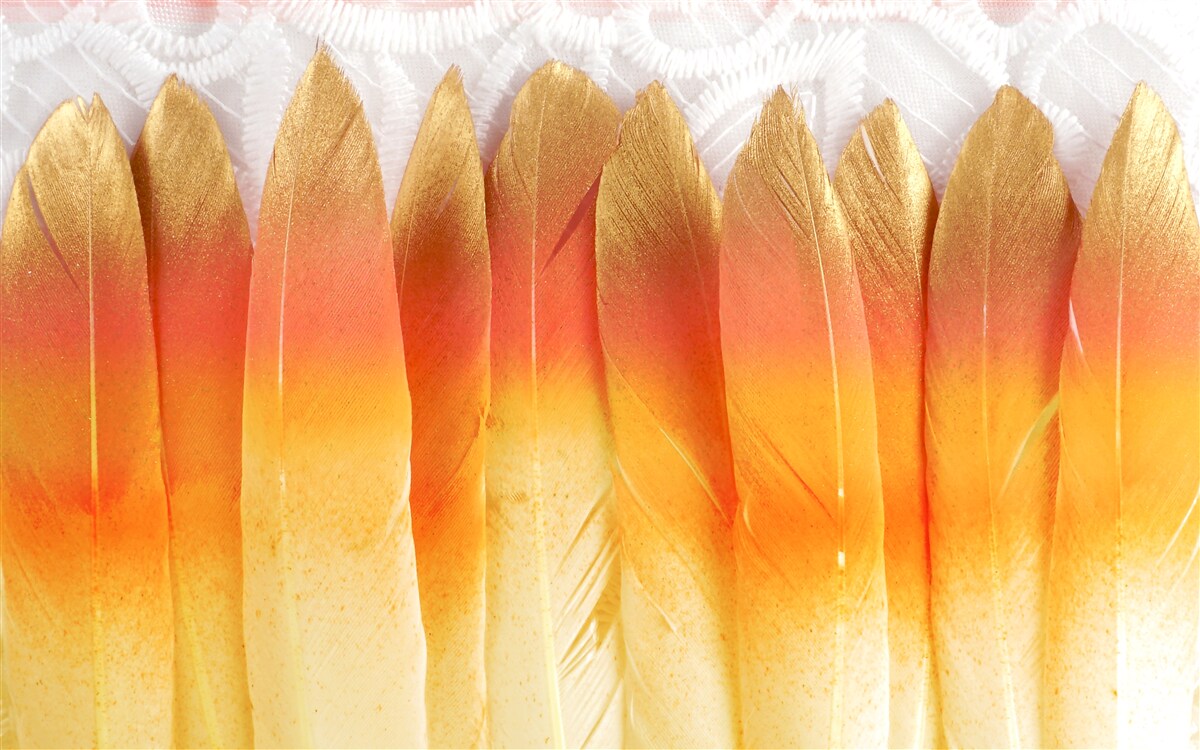 Fototapeta pióra o żółtym odcieniu na tle świtu