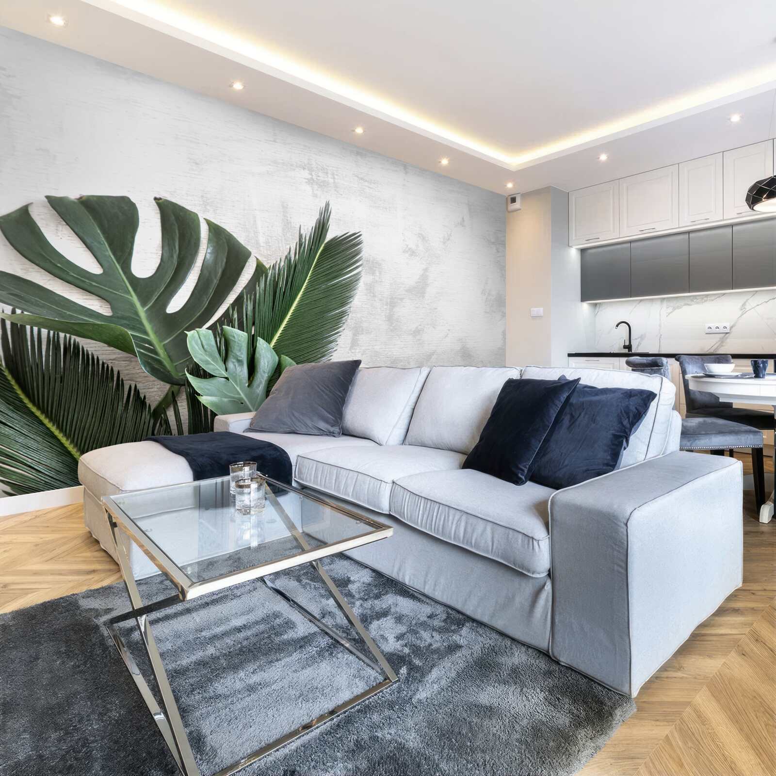 Fototapeta szare tło podkreśla zieleń paproci