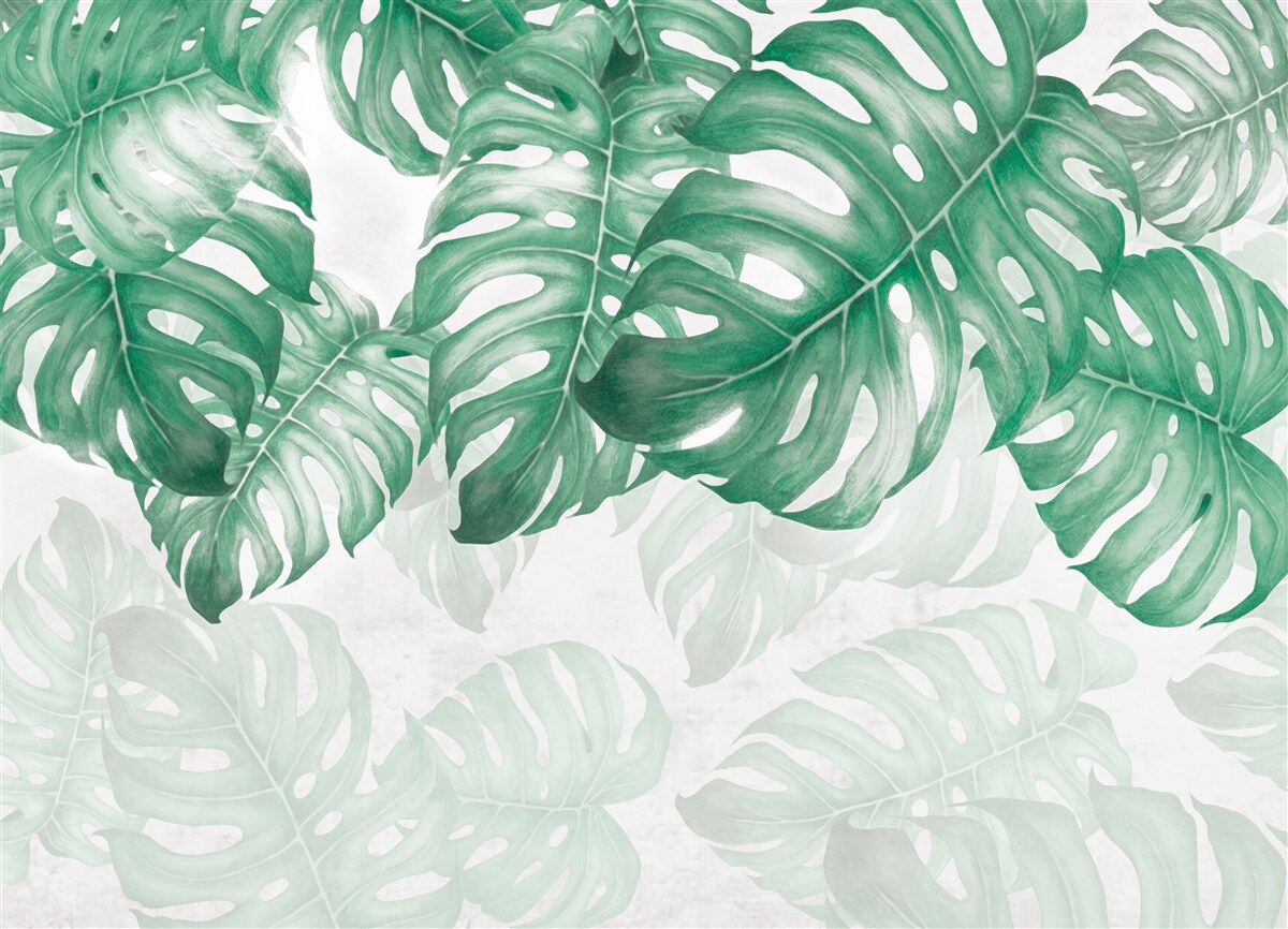 Fototapeta liście paproci na jasnym tle