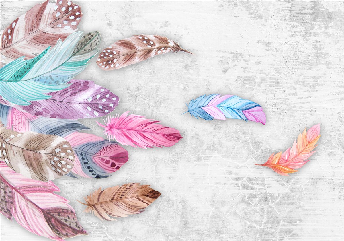 Fototapeta pióra w delikatnych jasnych odcieniach