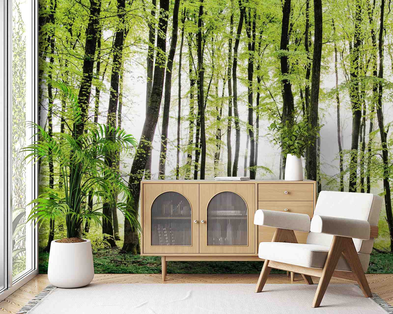 Fototapeta poranne drzewa rozciągające się w górę niczym smukłe kolumny