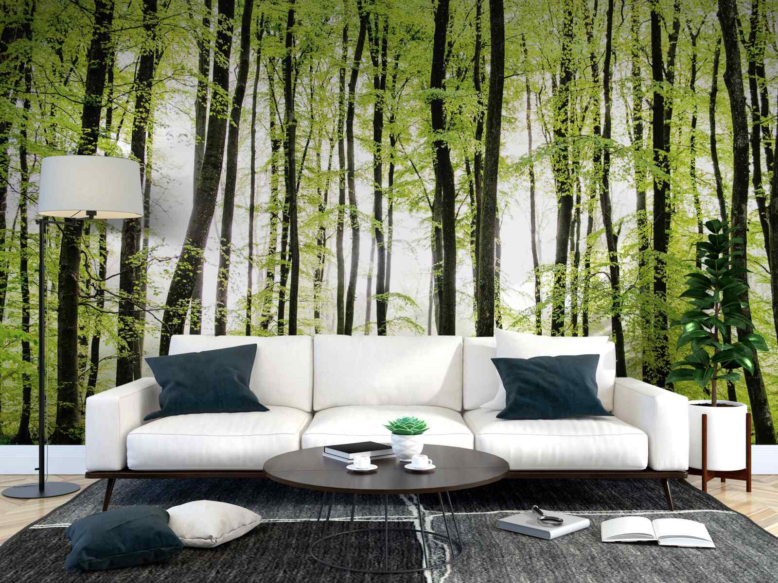 Fototapeta poranne drzewa rozciągające się w górę niczym smukłe kolumny