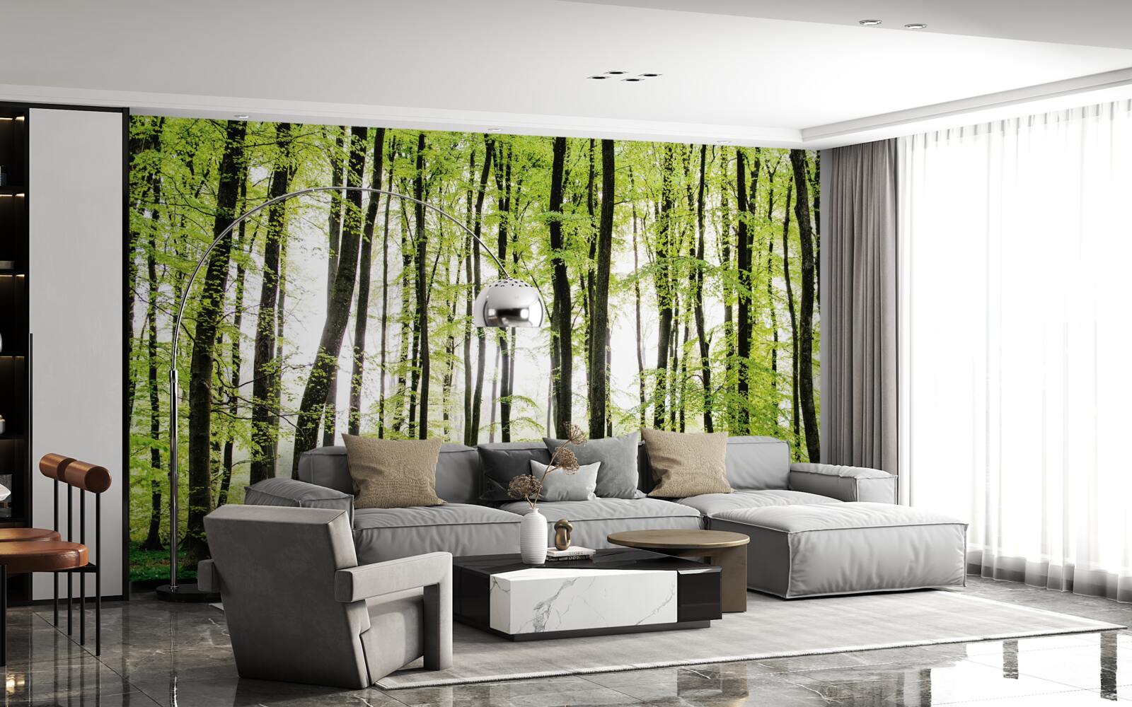 Fototapeta poranne drzewa rozciągające się w górę niczym smukłe kolumny