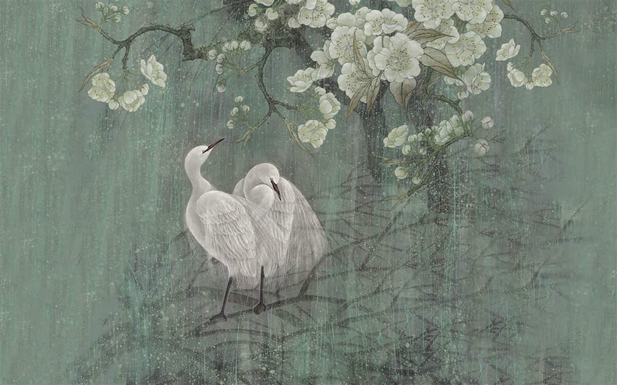 Fototapeta pod drzewem w pełnym rozkwicie pływają łabędzie