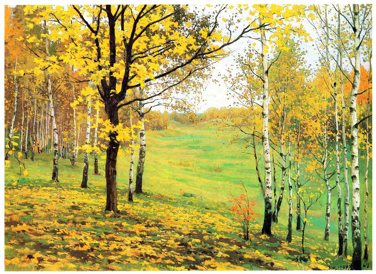 Fototapeta jesienny las spowity jest niesamowitymi odcieniami