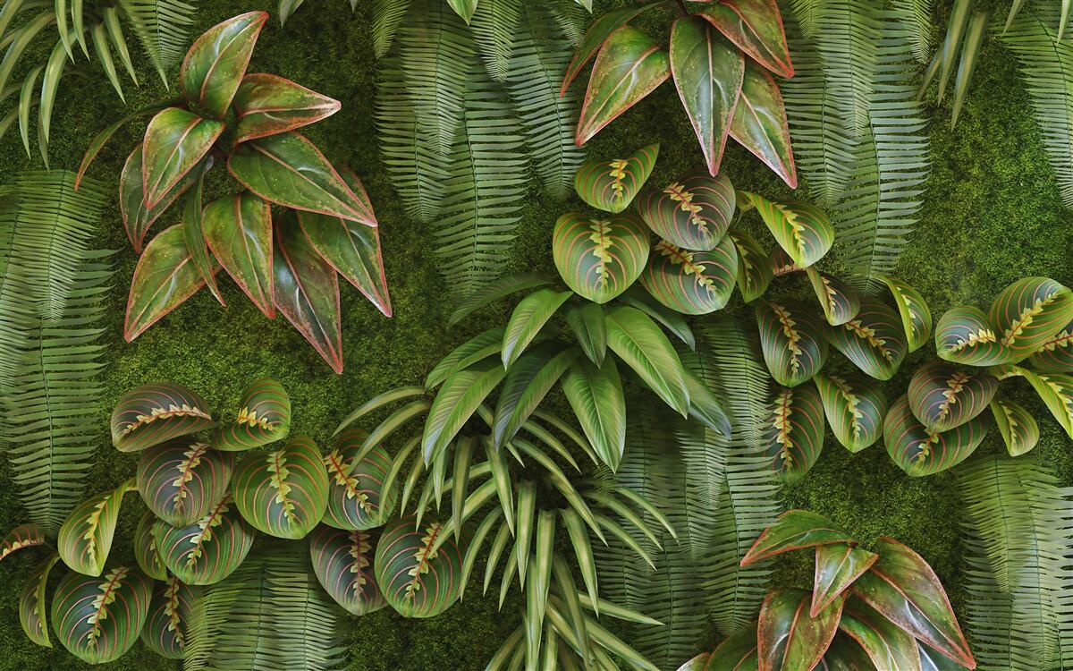 Fototapeta liście bananów i paproci są ciemnozielone