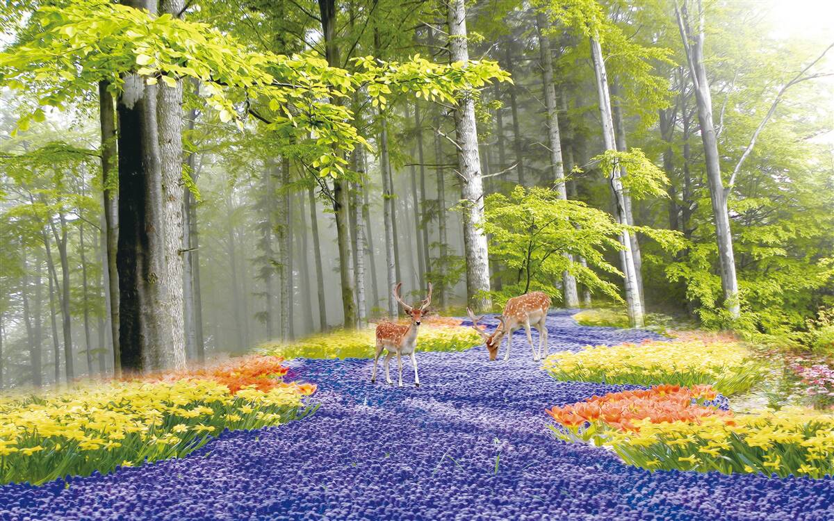 Fototapeta jelenie spacerują po zielonym lesie