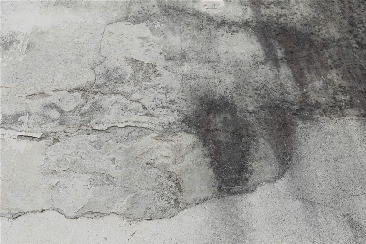 Fototapeta szara tekstura śmieci