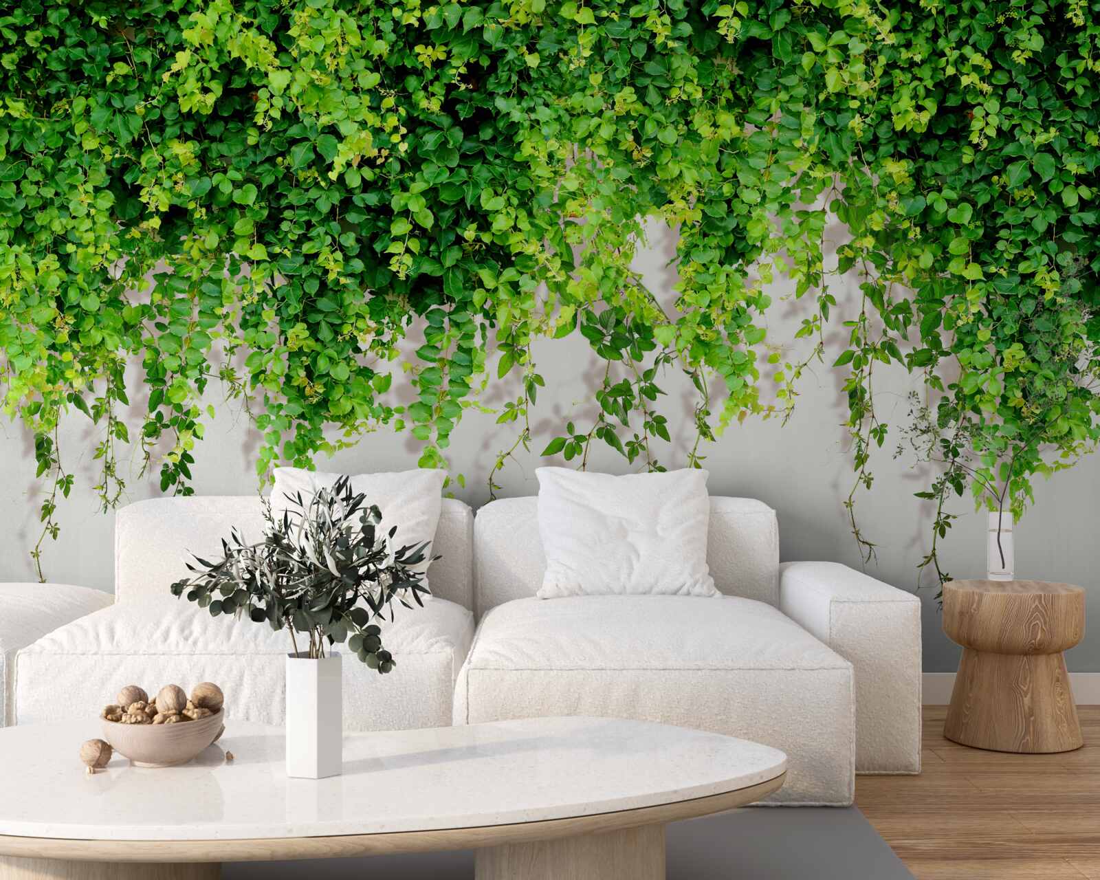 Fototapeta wiszące rośliny są jasnozielone