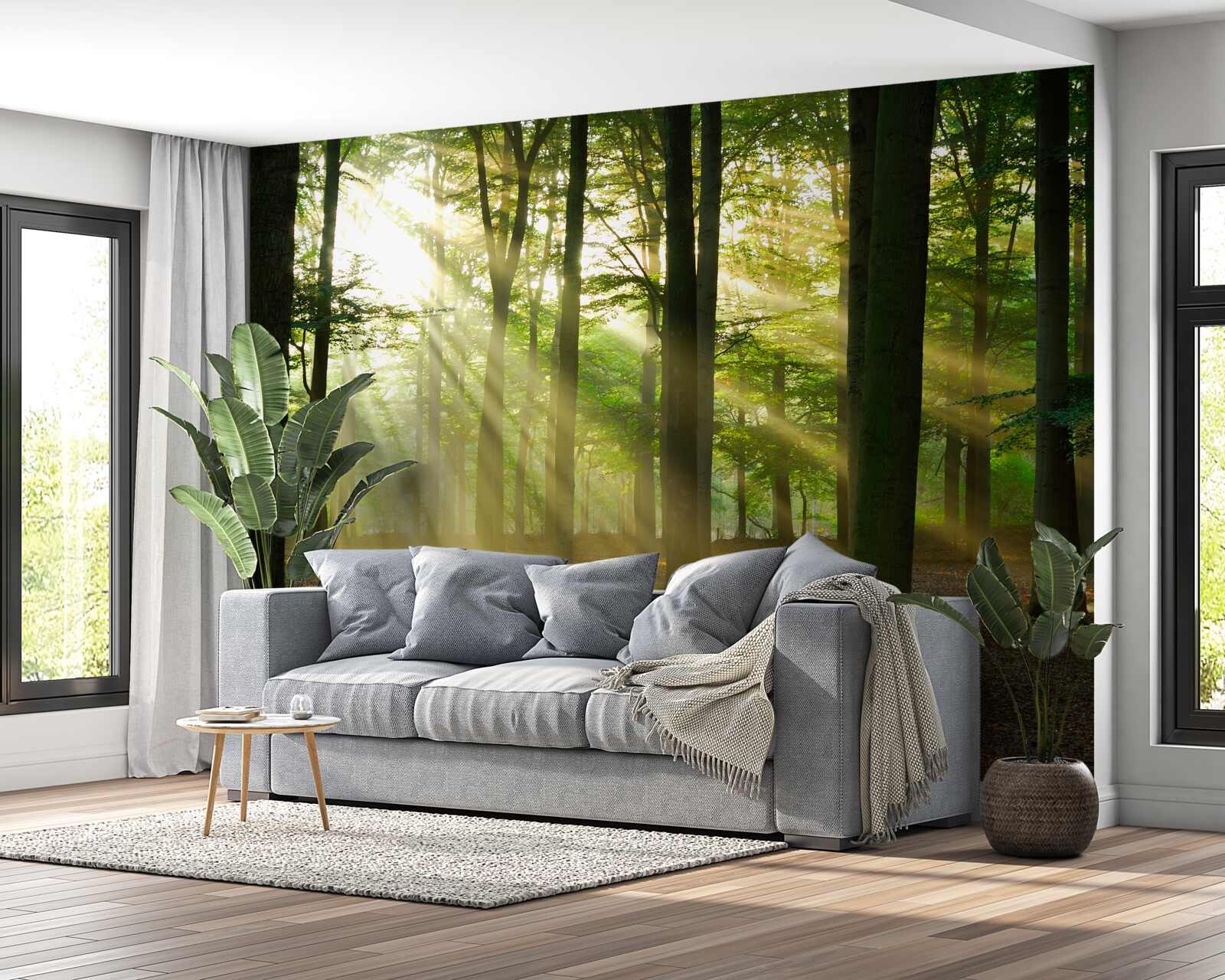 Fototapeta promienie słońca przenikają przez poranną mgłę na pustyni