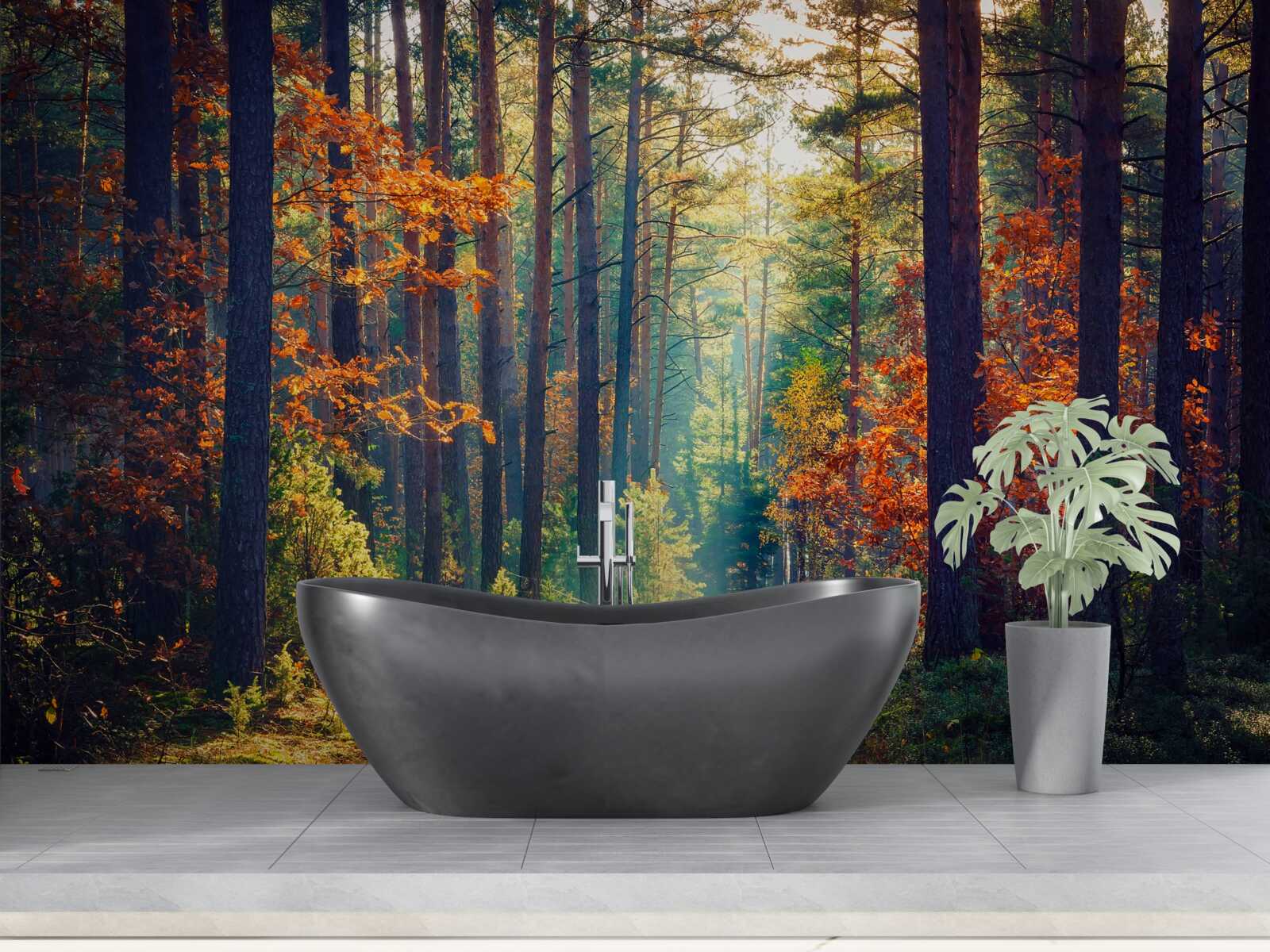 Fototapeta promień słońca w jesiennym lesie