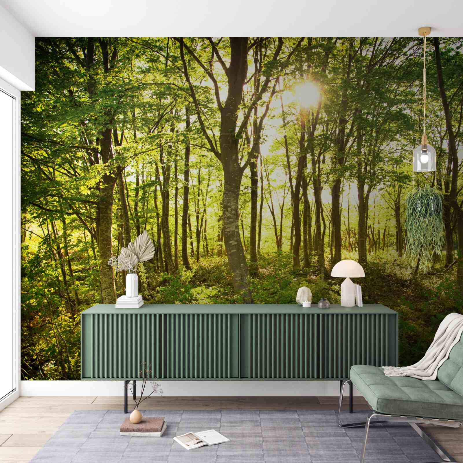 Fototapeta promienie słońca oświetlają osikowy gaj