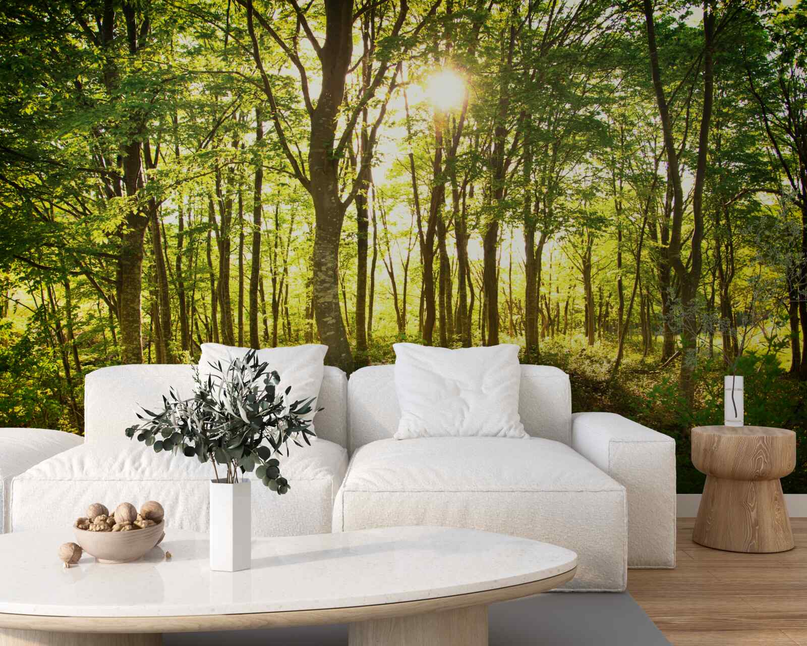 Fototapeta promienie słońca oświetlają osikowy gaj