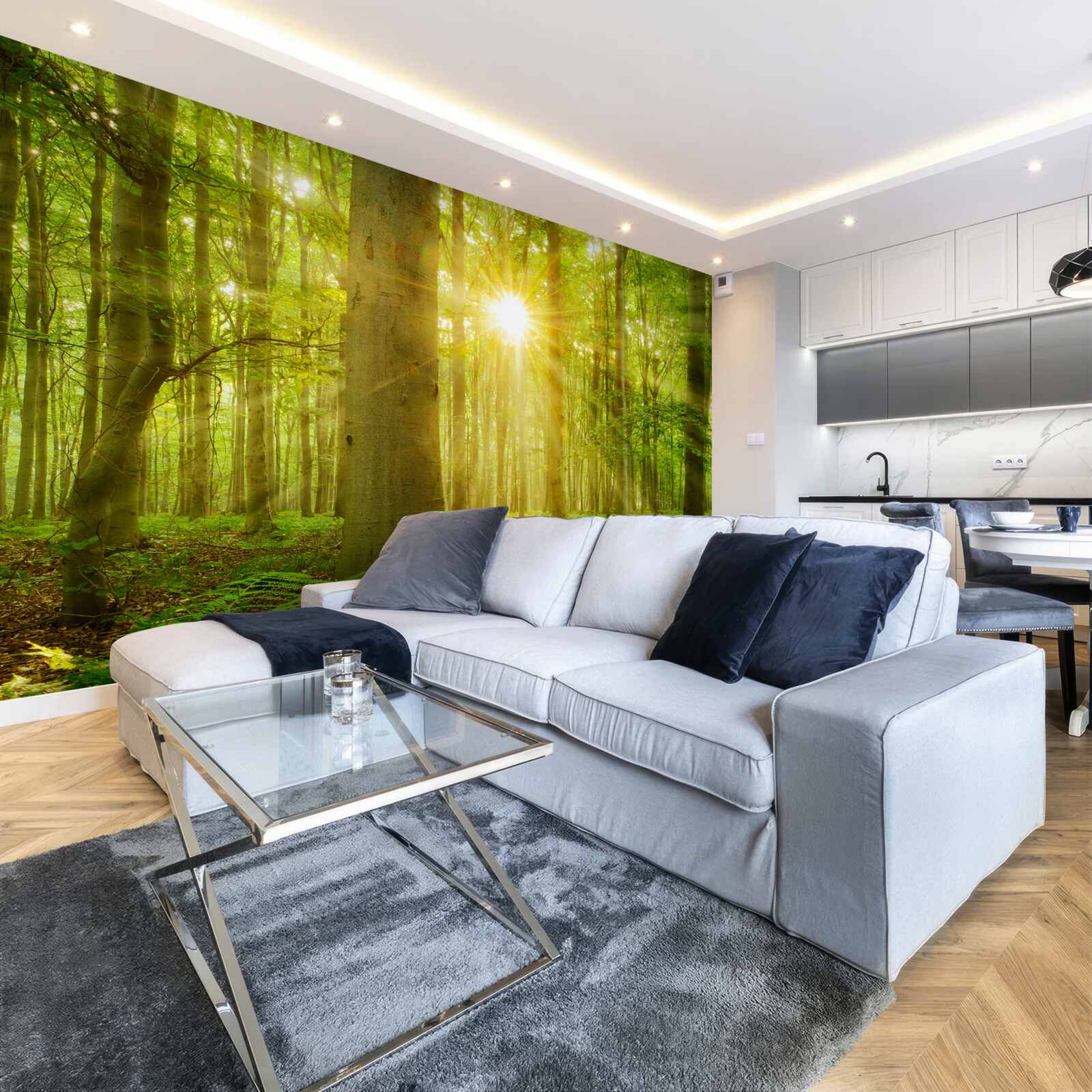 Fototapeta Światło słoneczne w lesie bukowym